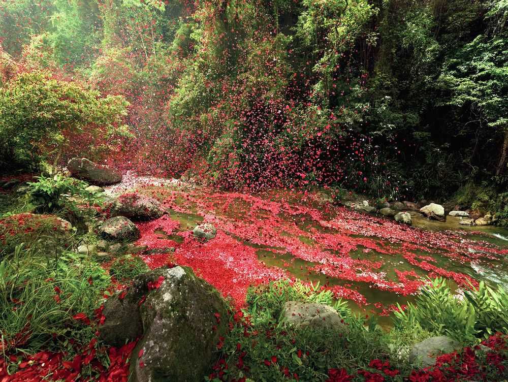Nick Meek, ‘San Jose Province, Costa Rica 2019 (Large)’, 2014, Print, C-Type Print, null, Numbered