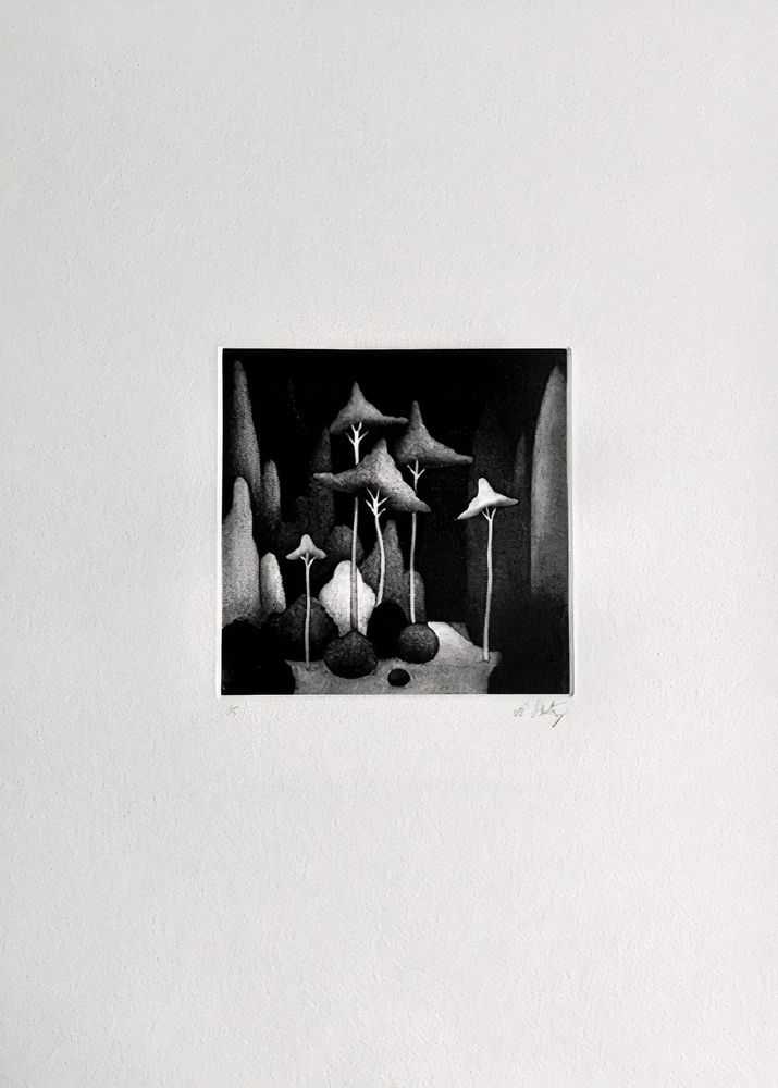 Nicolas Party, ‘Landscape II’, 2016, Print, Mezzotint on Velin Arches paper, Glasgow Print Studio, Numbered