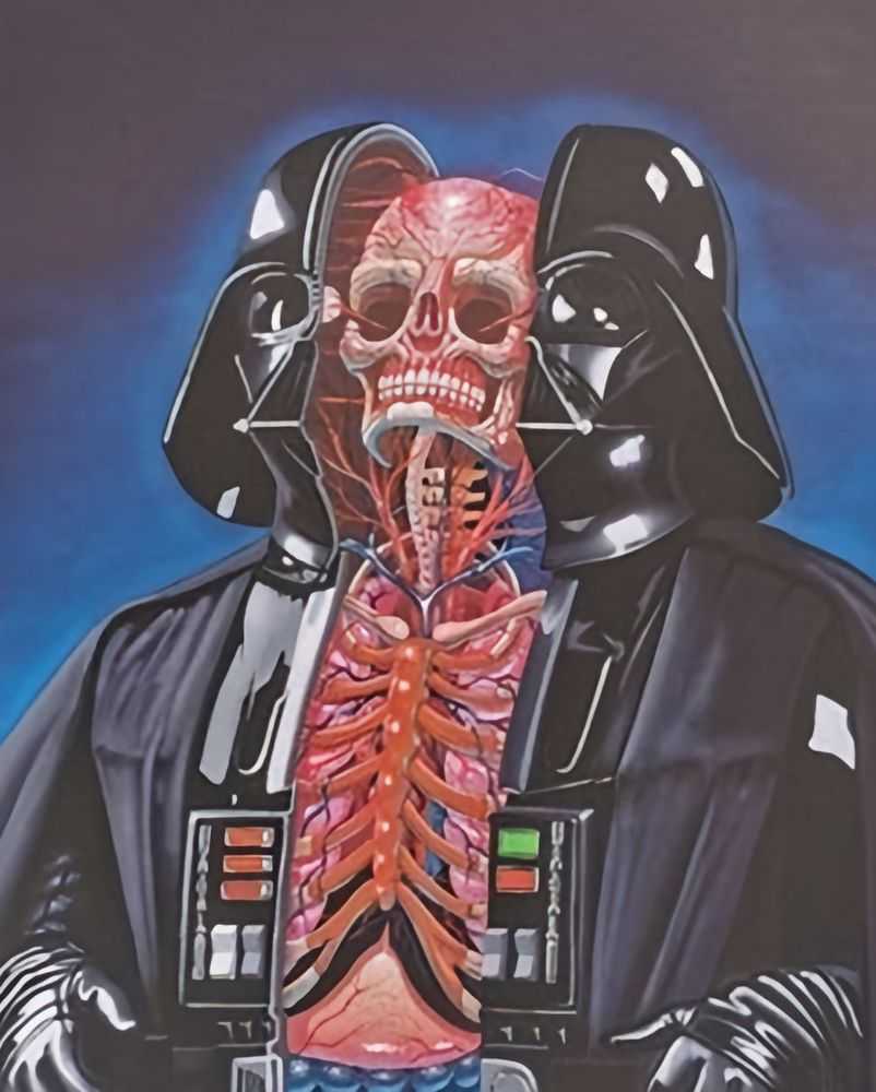 Nychos, ‘Dissection Of Darth Vader’, 2020, Print, Giclee Print, Rabbiteye Movement, Numbered