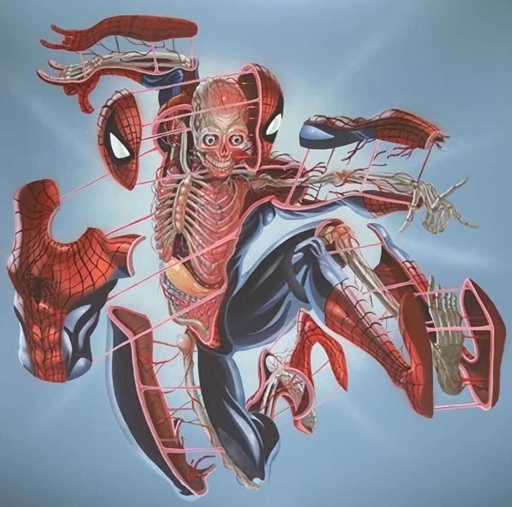 Nychos, ‘Dissection Of Spiderman (First Edition)’, 2019, Print, Giclee Print, Rabbiteye Movement, Numbered