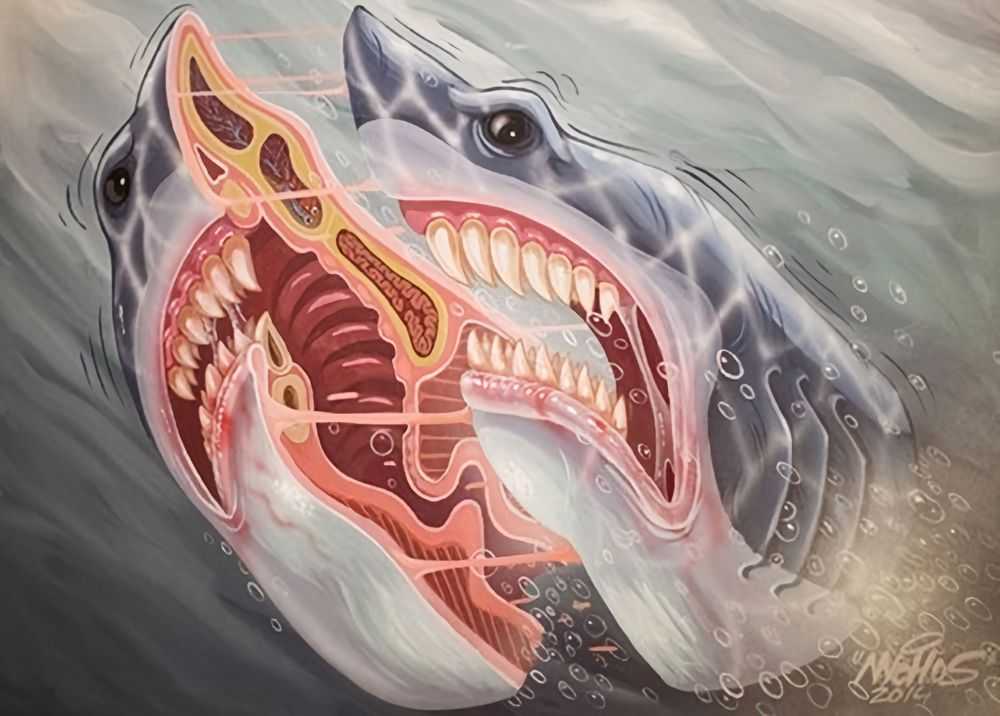 Nychos, ‘Jaw Breaker’, 2014, Print, Giclee Print, Mighty Jaxx,