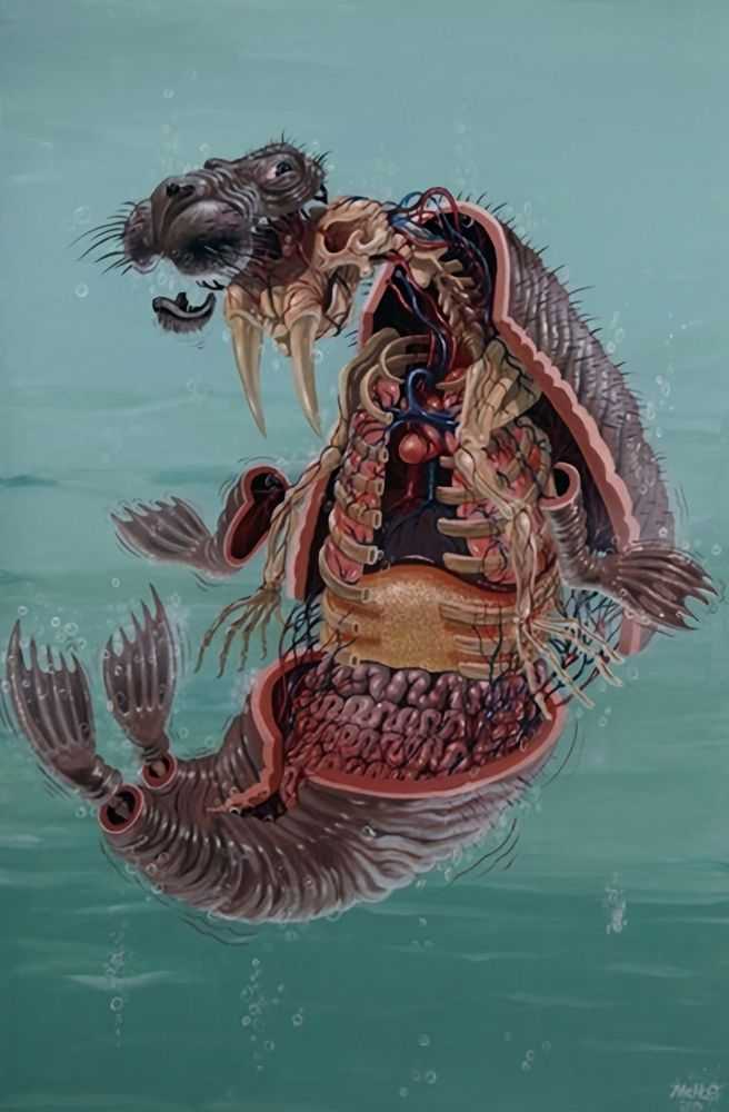 Nychos, ‘The Walrus’, 2014, Print, Giclee Print, Upper Playground, 