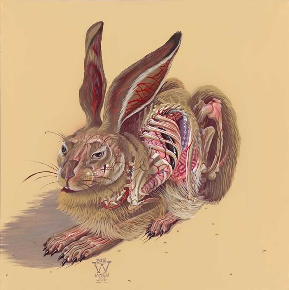 Nychos, ‘Translucent Hare’, 2018, Print, Giclee Print, Rabbiteye Movement, Numbered