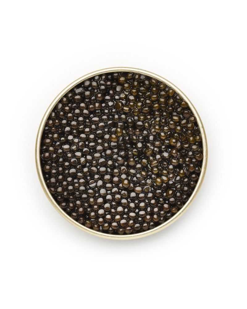 Peter Andrew Lusztyk, ‘Caviar (Large)’, 2024, Print, Digital C-Print / Archival Pigment Print, null, 