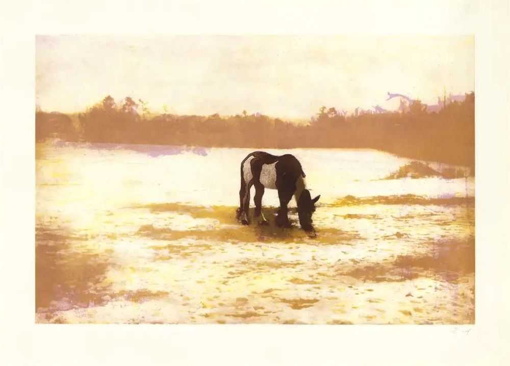 Peter Doig, ‘Pinto’, 2000, Print, Etching in colours on Hahnemühle etching paper, Paragon Press, Numbered, Dated