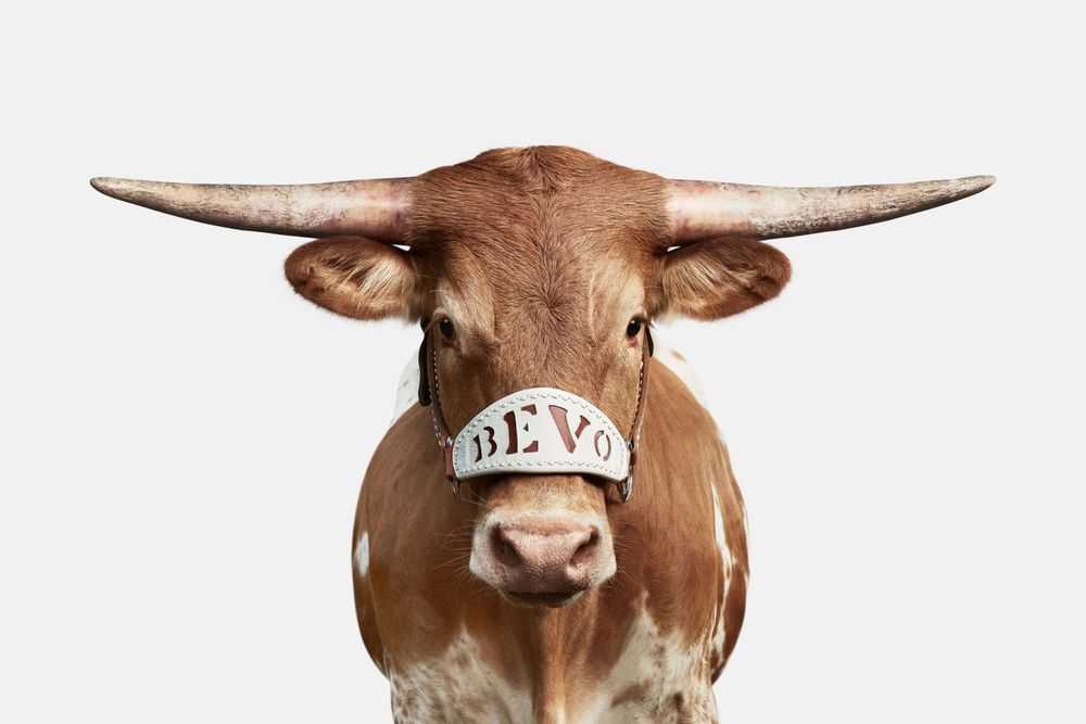 Randal Ford, ‘Bevo XV Color (Medium)’, 2018, Print, Digital C-Print on Archival Photographic Paper, null, 
