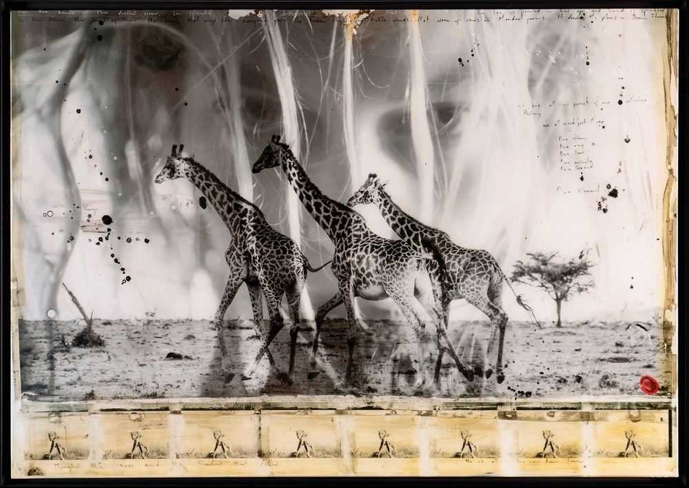 Raphael Mazzucco, ‘Behind These Eyes’, 2022, Print, Fine Art Print, Castle Fine Art, Numbered, Framed