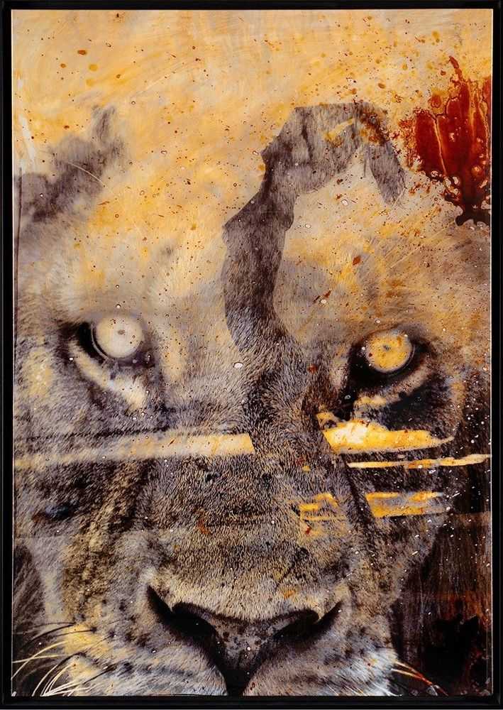 Raphael Mazzucco, ‘Free Spirit’, 2022, Print, Fine Art Print, Castle Fine Art, Numbered, Framed