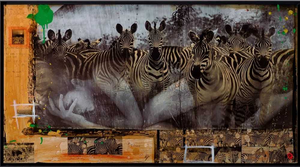 Raphael Mazzucco, ‘Zebras Unique Four’, 2023, Print, Mixed Media, Castle Fine Art, Numbered, Framed