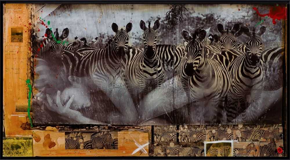 Raphael Mazzucco, ‘Zebras Unique One’, 2023, Print, Mixed Media, Castle Fine Art, Numbered, Framed