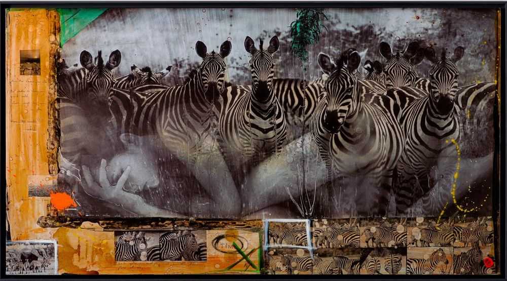 Raphael Mazzucco, ‘Zebras Unique Three’, 2023, Print, Mixed Media, Castle Fine Art, Numbered, Framed