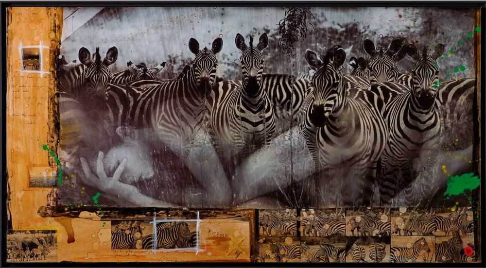 Raphael Mazzucco, ‘Zebras Unique Two’, 2023, Print, Mixed Media, Castle Fine Art, Numbered, Framed