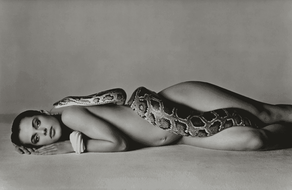 Richard Avedon, ‘Nastassja Kinski and the Serpent’, 1981, Print, Gelatin silver print, null, Numbered