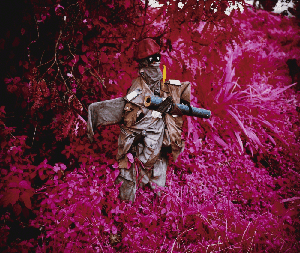 Richard Mosse, ‘Better Than the Real Thing’, 2011, Photography, Digital chromogenic print, null, Numbered, Dated