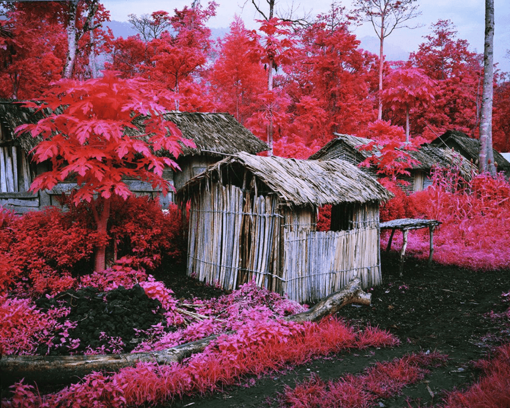 Richard Mosse, ‘Come Out (1966) XXXXI’, 2015, Photography, Digital C-Print, null, 