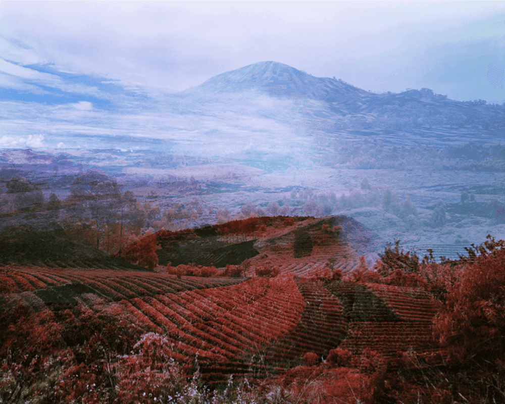 Richard Mosse, ‘Debris, North Kivu, Eastern Congo’, 2011, Photography, Digital C-­Print, null, Numbered