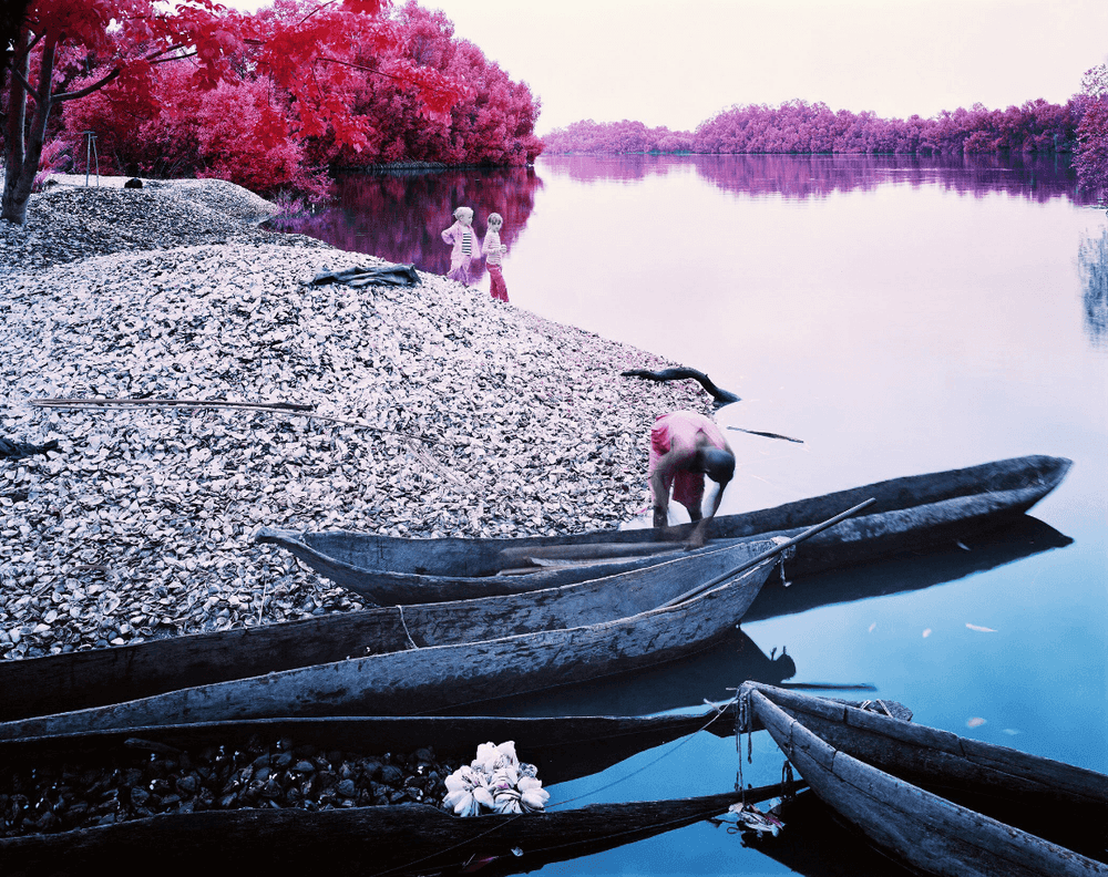 Richard Mosse, ‘Paradise’, 2014, Photography, Digital c-print, null, Numbered