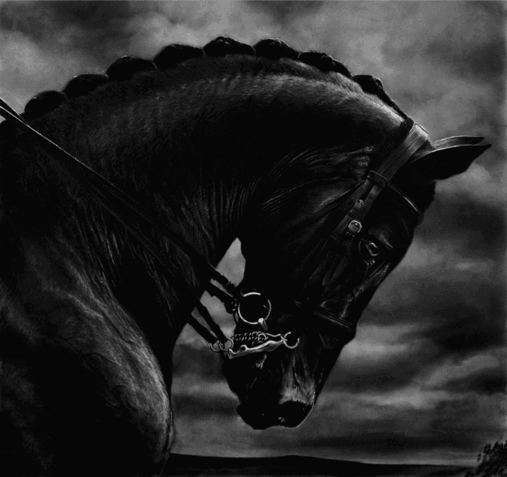 Robert Longo, ‘Bucephalus’, 2019, Print, Pigment Print, null, Numbered