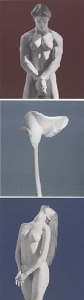 Robert Mapplethorpe, ‘America 3 piece Suite’, 1988, Print, Photo Lithograph, null, 