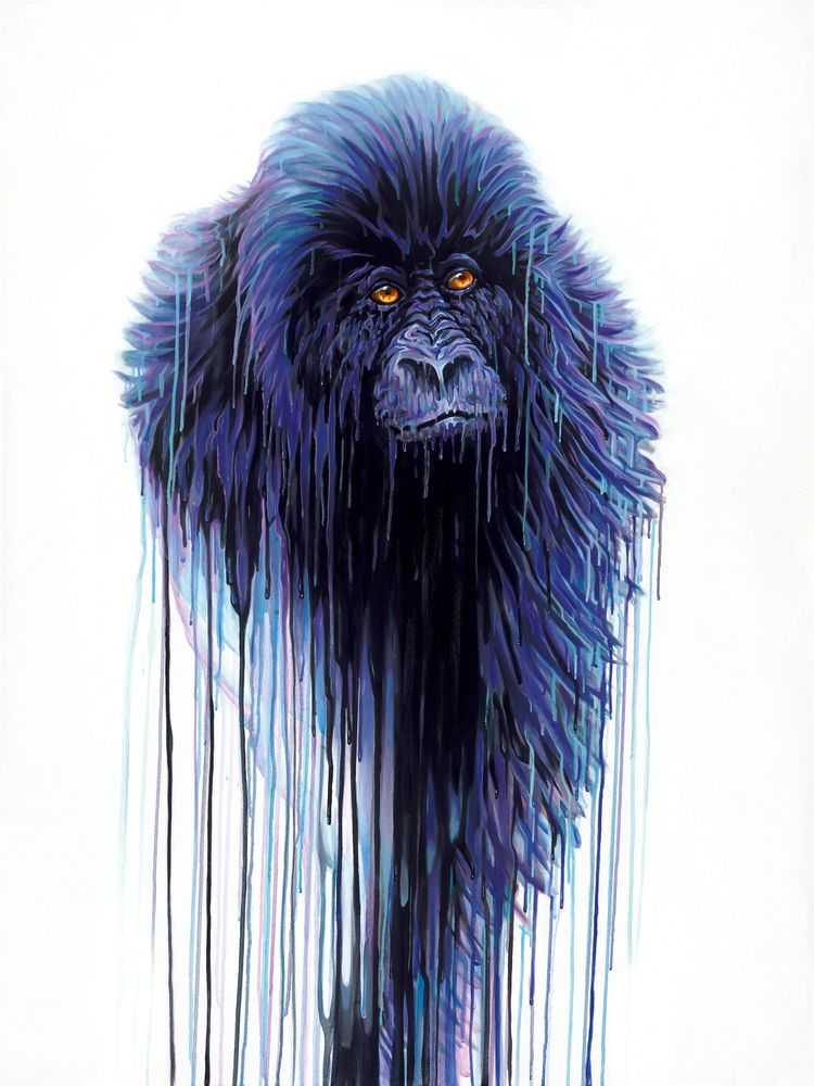 Robert Oxley, ‘Virunga’, 2017, Print, Giclee On Canvas, Castle Fine Art, Numbered