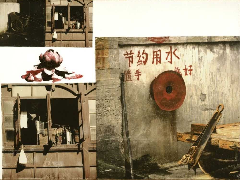 Robert Rauschenberg, ‘Lotus V (The Lotus Series)’, 2008, Print, Inkjet pigment with photogravure on paper, null, Numbered, Dated