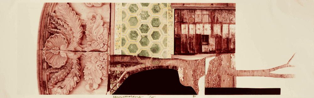 Robert Rauschenberg, ‘Studies for Chinese Summerhall IV’, 1984, Print, C-print (framed), Gemini G.E.L., Los Angeles, Numbered, Dated