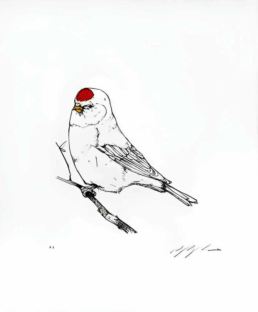 Sage Vaughn, ‘Perturbed Bird’, 28-11-2014, Print, Etching, Lazarides Editions, Numbered, Handfinished