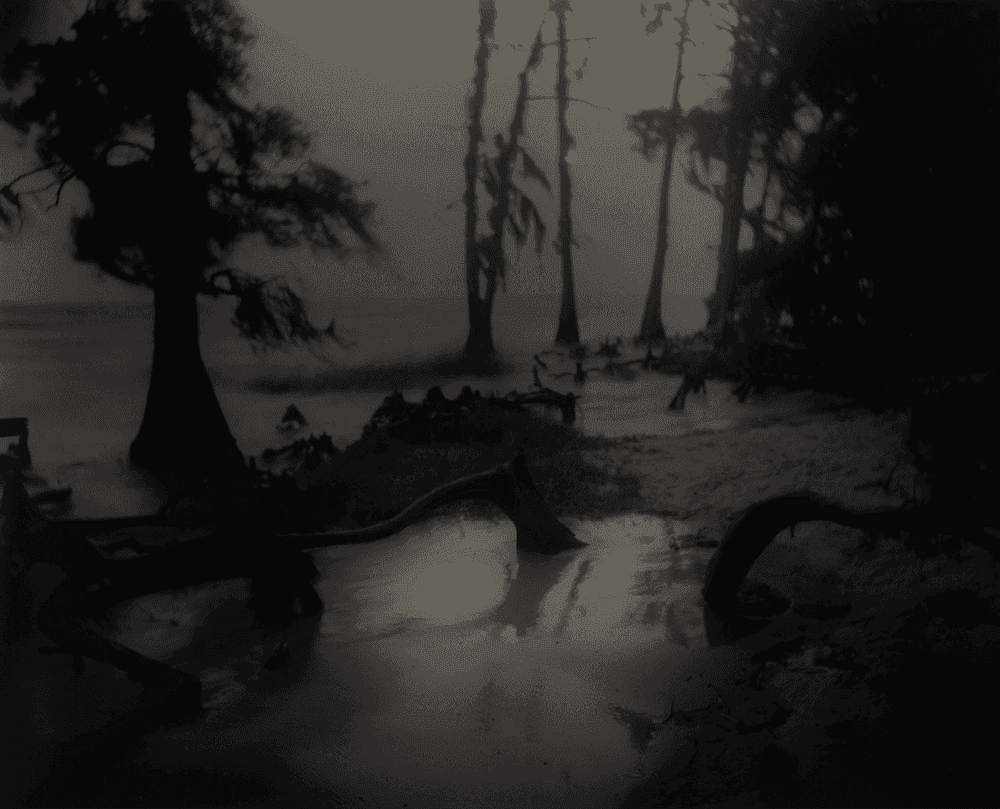 Sally Mann, ‘Deep South, Untitled (Bones II)’, 1998, Print, Silver gelatin print, null, 