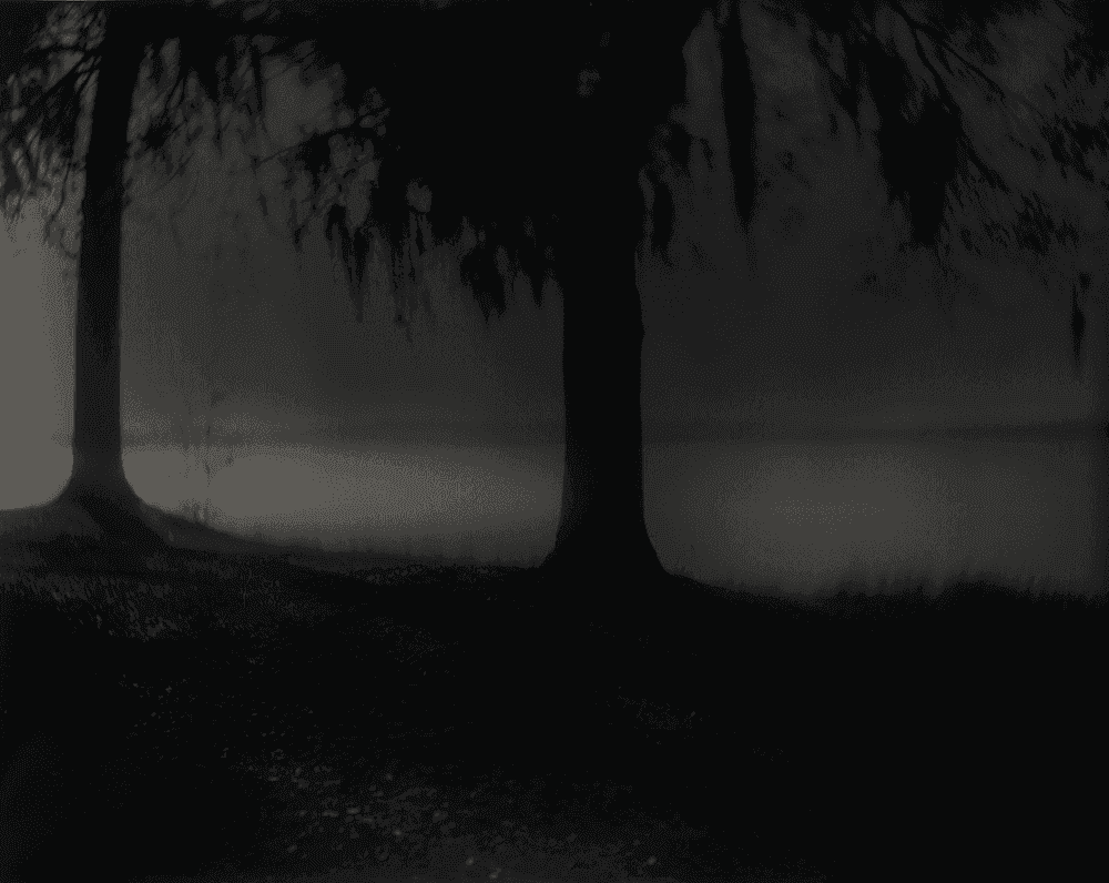 Sally Mann, ‘Deep South, Untitled (Near Vicksburg)’, 1998, Print, Silver gelatin print, null, 