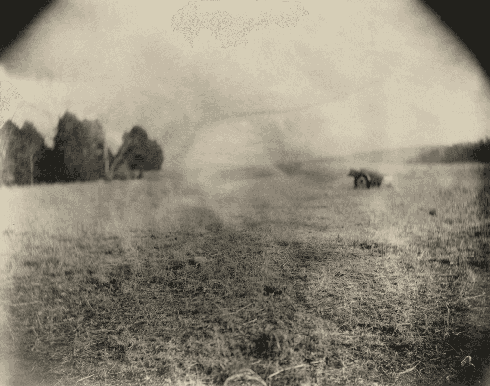 Sally Mann, ‘Georgia, Untitled (Beaver Log)’, 1996, Print, Tea-toned silver gelatin print, null, 