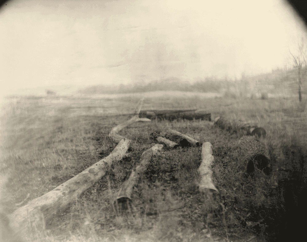 Sally Mann, ‘Georgia, Untitled (Snake Log)’, 1996, Print, Tea-toned silver gelatin print, null, 