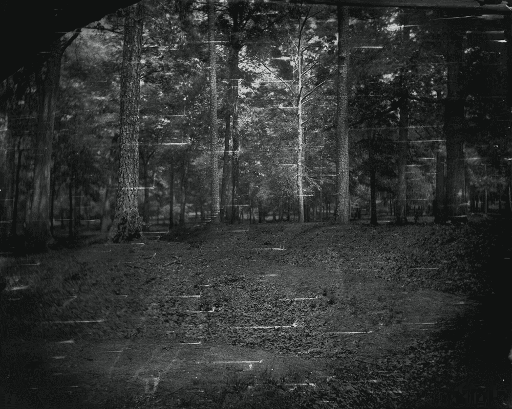 Sally Mann, ‘Landscape #27 (from the Battlefield)’, 2002, Print, Silver gelatin enlargement print, archivally dry-mounted, null, Numbered, Dated