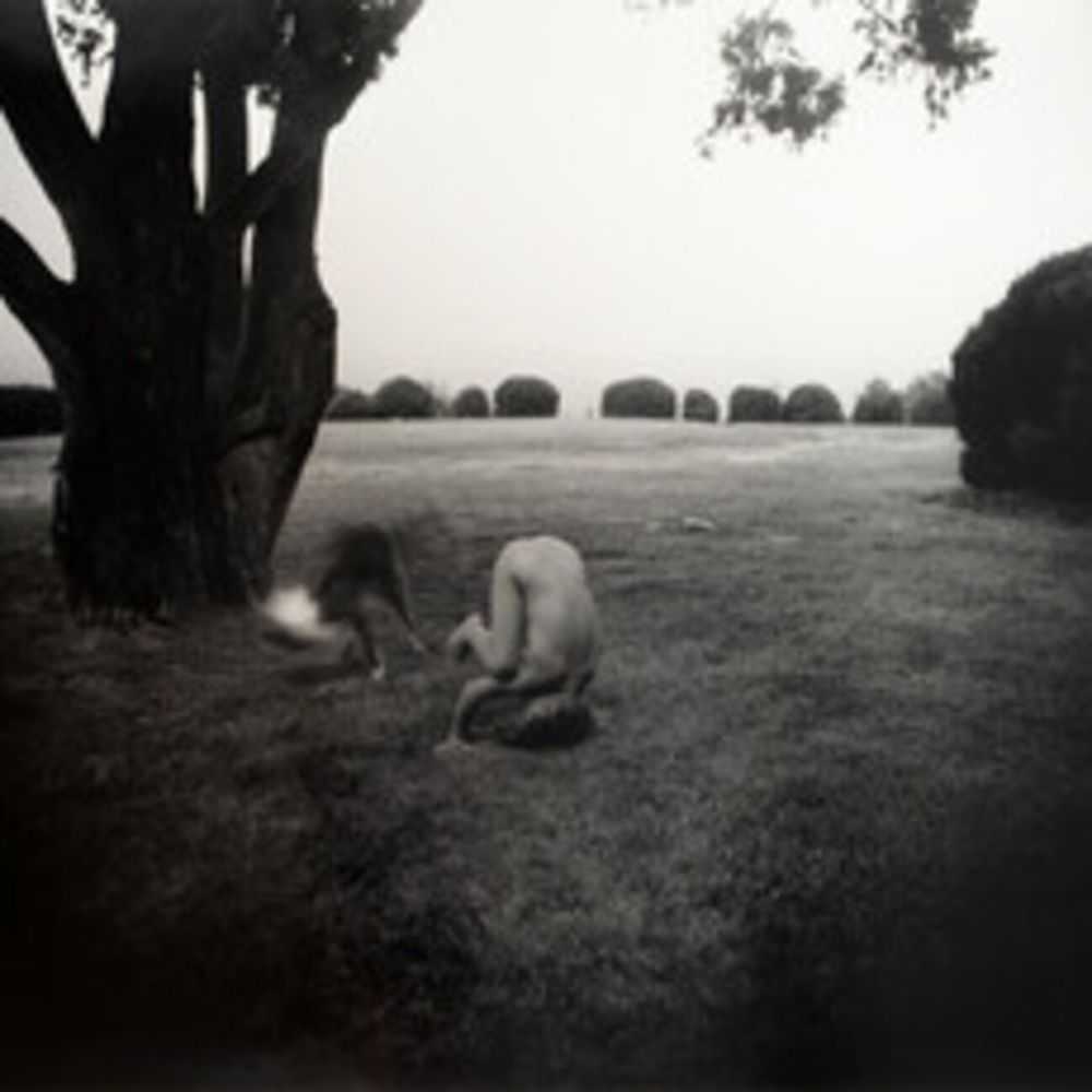 Sally Mann, ‘Tripod’, 1992, Print, Silver gelatin print, null, Numbered, Dated