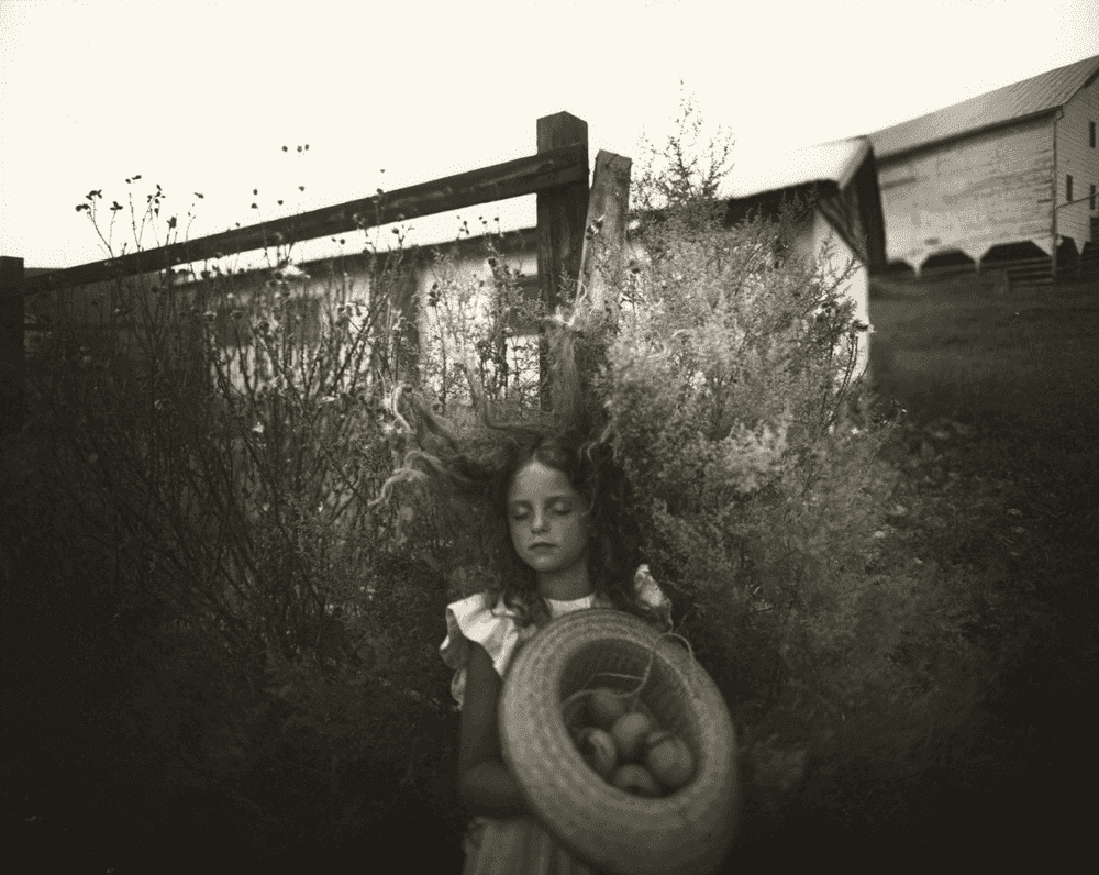 Sally Mann, ‘Yard Eggs’, 1991, Print, Gelatin silver contact print, null, 