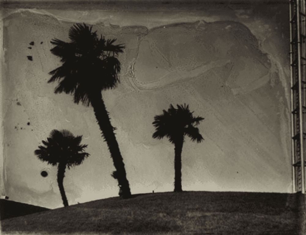 Sarah Moon, ‘Le Rond Point des 3 Palmiers’, 1994, Print, Gelatin silver print, null, Numbered, Dated