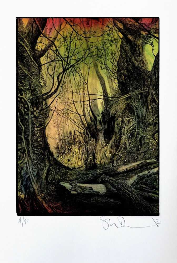 Stanley Donwood, ‘Watching’, 30-09-2021, Print, Archival pigment print on Minuet 300gsm paper with hand torn edges, The Lost Domain, Numbered, Dated