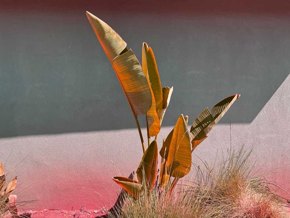Stuart Möller, ‘Stay Gold’, 2022, Print, Archival Pigment Print, null, Numbered
