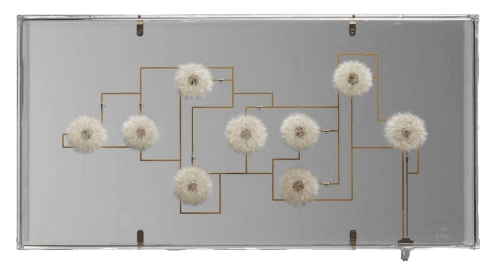 Studio Drift, ‘Another Future’, 02-09-2020, Sculpture, Conductive print, dandelion seeds, LEDs & plexiglass. Includes a micro-USB cable and a location-specific plug., Avant Arte, Numbered, Handfinished