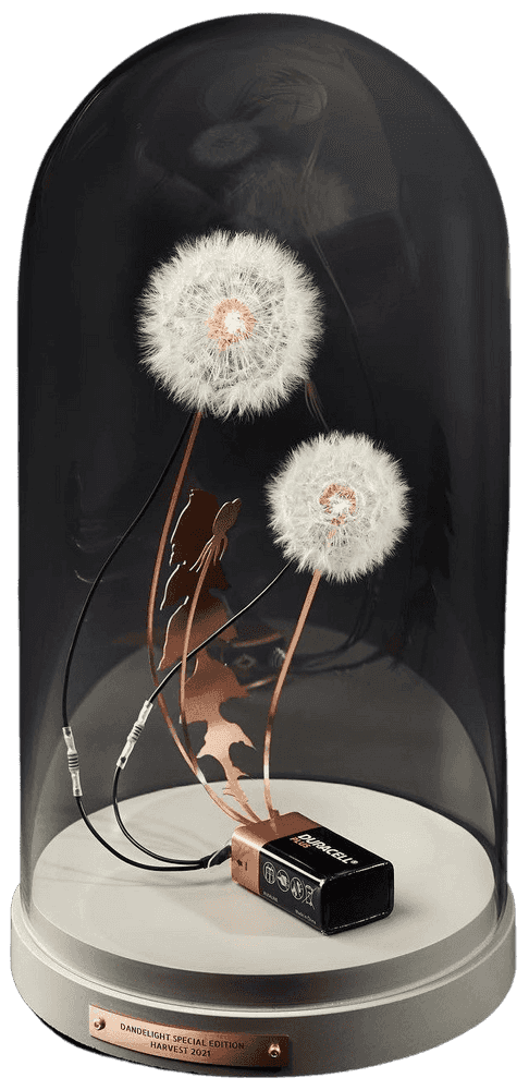 Studio Drift, ‘DANDELIGHT (Hope)’, 2019, Sculpture, Phosphorus bronze, led light, real dandelion seeds, Self-released, Handfinished