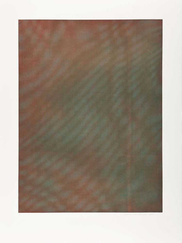 Tauba Auerbach, ‘Mesh Moire IV’, 2012, Print, Color soft-ground etching, Paulson Bott Press, Numbered, Dated