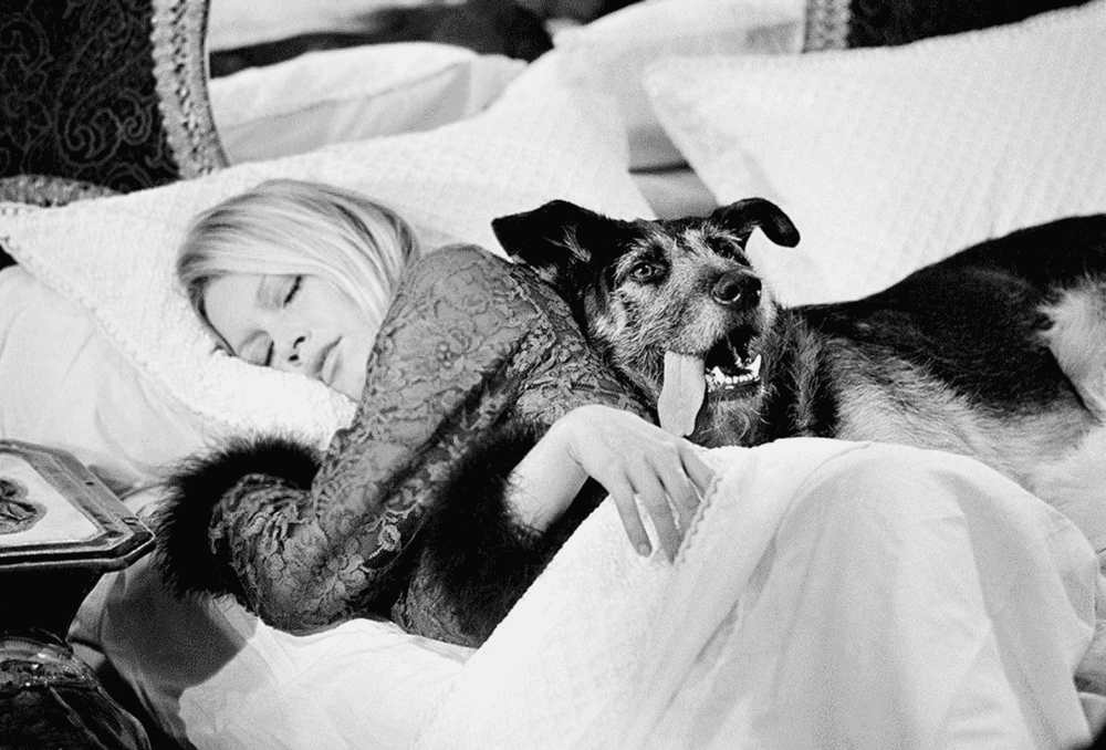 Terry O'Neill, ‘Brigitte Bardot with Dog’, 1970, Photography, Gelatin Silver Print, null, Numbered