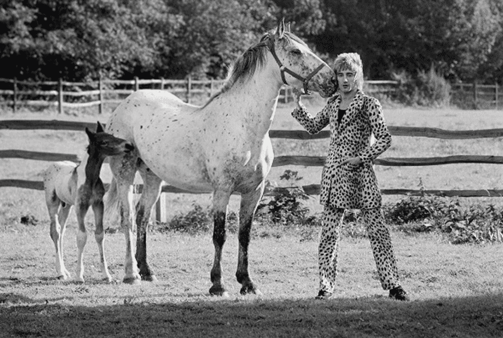 Terry O'Neill, ‘Rod Stewart, 1971’, 1971, Photography, Silver Gelatin Print, null, Numbered