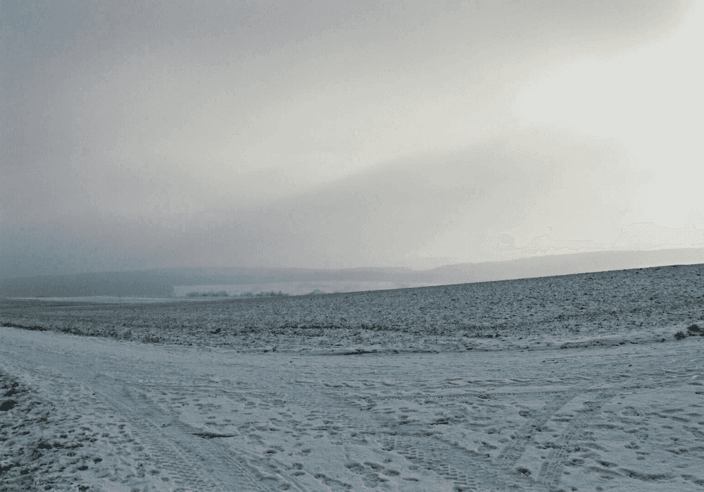 Thomas Struth, ‘Odenwald’, 2006, Print, C-print, null, Numbered, Dated