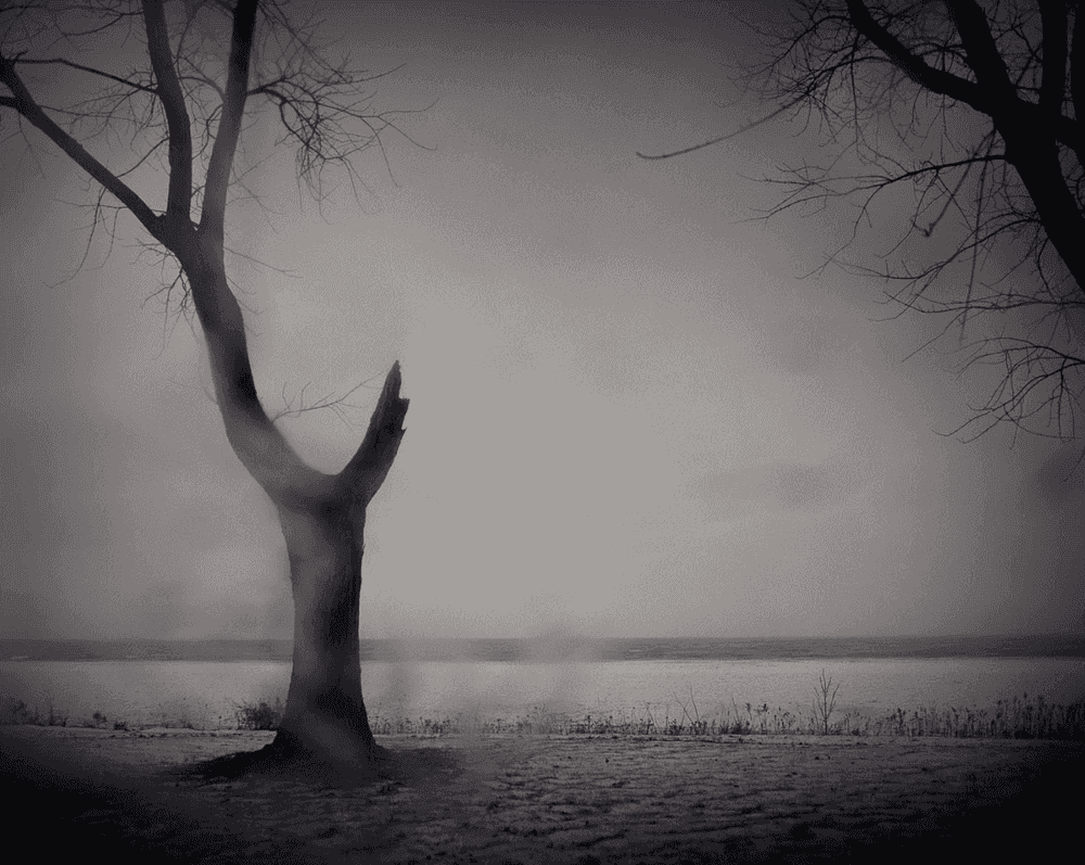 Todd Hido, ‘10101’, 2011, Photography, Archival Pigment Print., null, Dated