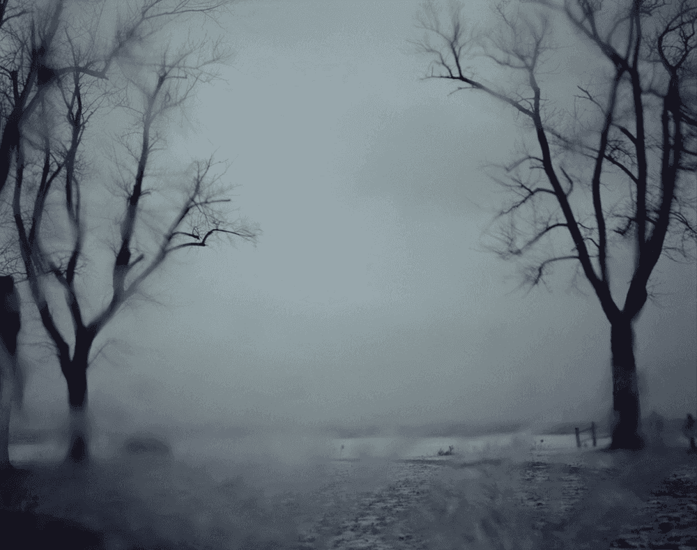 Todd Hido, ‘10104’, 2011, Photography, Archival Pigment Print., null, Dated