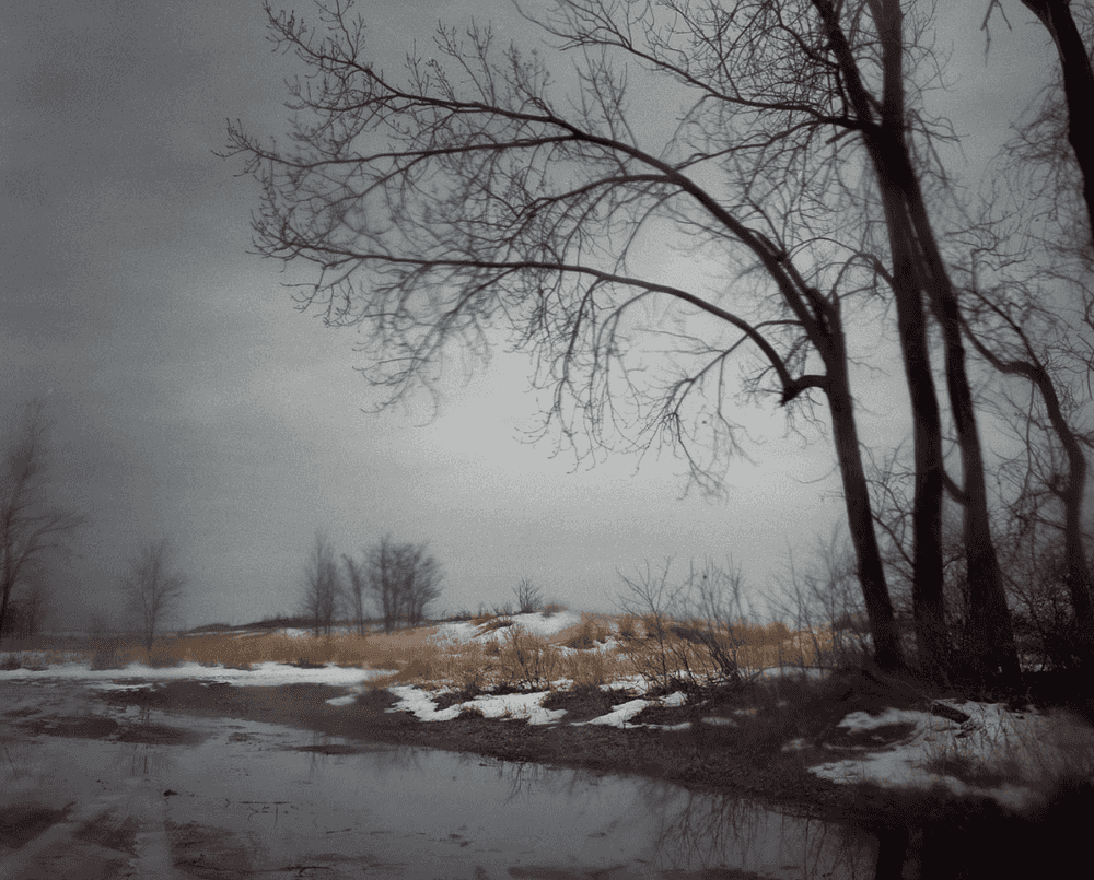 Todd Hido, ‘10245’, 2011, Photography, Archival Pigment Print., null, Dated