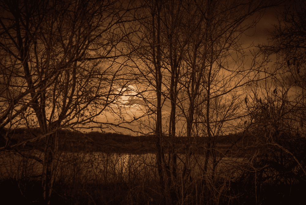 Todd Hido, ‘#11599-5811’, 2014, Photography, Archival pigment print, null, Dated