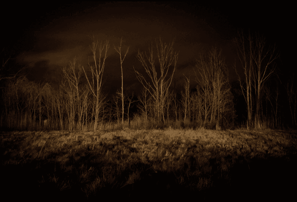Todd Hido, ‘11666-2425’, 2017, Photography, Archival Pigment Print., null, Numbered, Dated