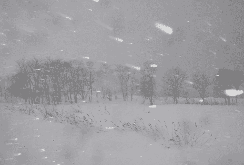 Todd Hido, ‘11683-6187’, 2016, Photography, Archival Pigment Print., null, Dated