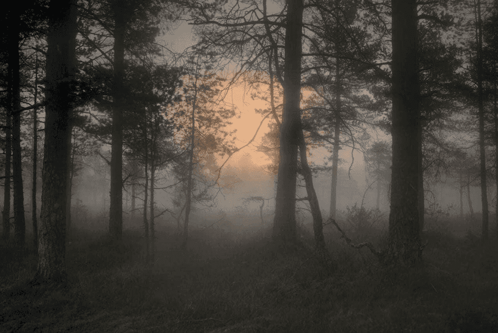 Todd Hido, ‘11798-3868’, 2018, Photography, Archival Pigment Print., null, Dated